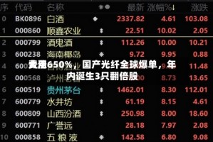 费用大涨650%，国产光纤全球爆单，年内诞生3只翻倍股