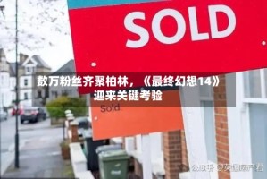 数万粉丝齐聚柏林，《最终幻想14》迎来关键考验