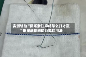 实测辅助“微乐浙江麻将怎么打才赢”揭秘透视辅助万能挂用法