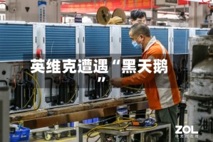 英维克遭遇“黑天鹅”