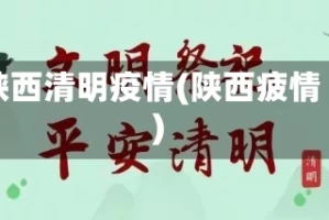 陕西清明疫情(陕西疲情)