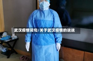 武汉疫情词句/关于武汉疫情的说说