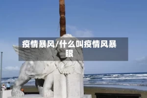 疫情暴风/什么叫疫情风暴眼
