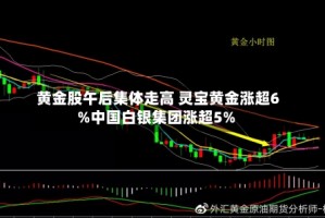 黄金股午后集体走高 灵宝黄金涨超6%中国白银集团涨超5%