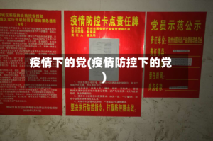 疫情下的党(疫情防控下的党)