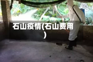 石山疫情(石山费用)