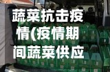 蔬菜抗击疫情(疫情期间蔬菜供应方案)