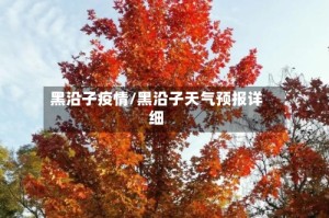 黑沿子疫情/黑沿子天气预报详细