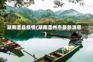 湖南澧县疫情(湖南澧州市最新消息)