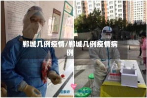 郸城几例疫情/郸城几例疫情病例