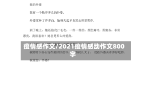 疫情感作文/2021疫情感动作文800字