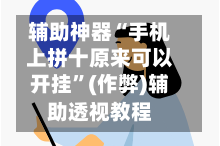 辅助神器“手机上拼十原来可以开挂”(作弊)辅助透视教程