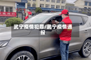 武宁疫情犯罪/武宁疫情通报