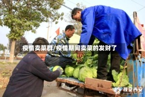疫情卖菜群/疫情期间卖菜的发财了