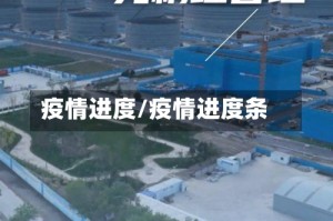 疫情进度/疫情进度条