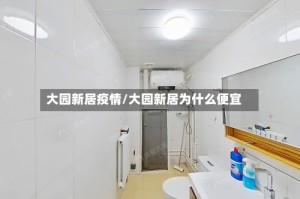 大园新居疫情/大园新居为什么便宜