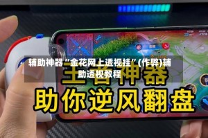 辅助神器“金花网上透视挂”(作弊)辅助透视教程