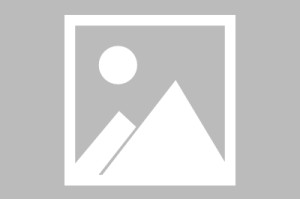 【疫情科学梦想,疫情的梦想作文】