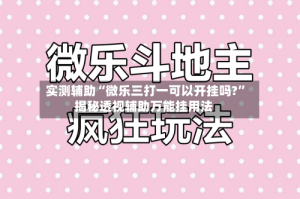 实测辅助“微乐三打一可以开挂吗?”揭秘透视辅助万能挂用法