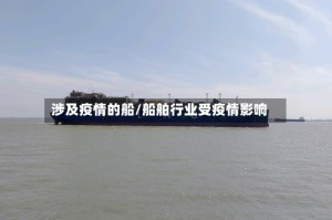 涉及疫情的船/船舶行业受疫情影响
