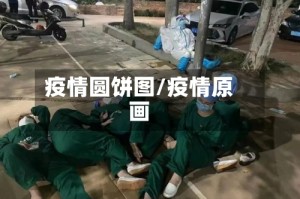 疫情圆饼图/疫情原画