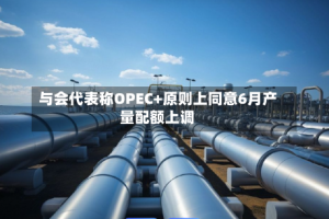 与会代表称OPEC+原则上同意6月产量配额上调