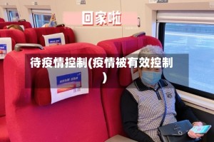 待疫情控制(疫情被有效控制)