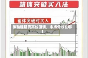 碳酸锂期货高位回调，市场分歧在哪？