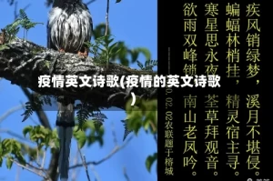 疫情英文诗歌(疫情的英文诗歌)