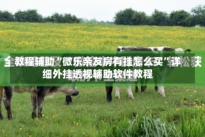 教程辅助“微乐亲友房有挂怎么买”详细外挂透视辅助软件教程