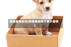 疫情宠物去世(疫情期间死了多少宠物)