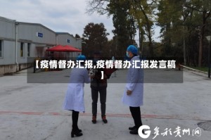 【疫情督办汇报,疫情督办汇报发言稿】