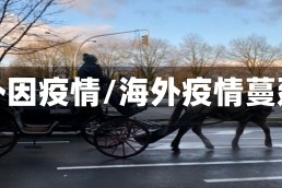 海外因疫情/海外疫情蔓延