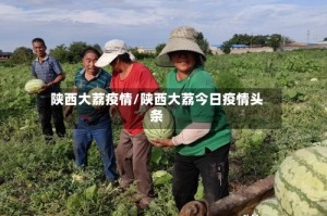 陕西大荔疫情/陕西大荔今日疫情头条