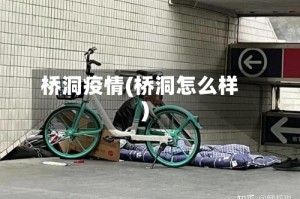 桥洞疫情(桥洞怎么样)
