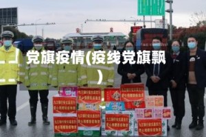 党旗疫情(疫线党旗飘)