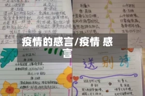 疫情的感言/疫情 感言