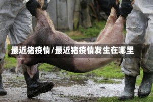 最近猪疫情/最近猪疫情发生在哪里