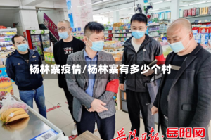 杨林寨疫情/杨林寨有多少个村