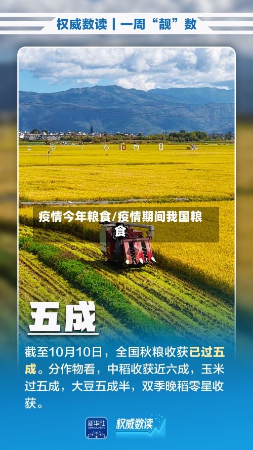 疫情今年粮食/疫情期间我国粮食-第1张图片