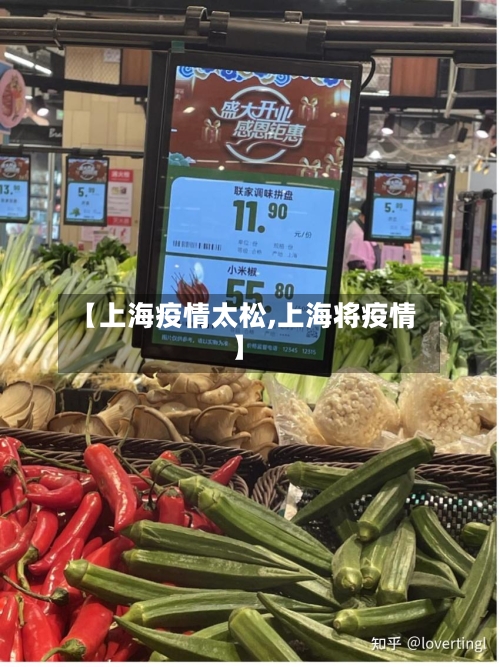 【上海疫情太松,上海将疫情】-第1张图片