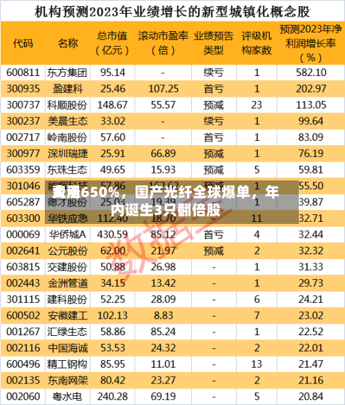 费用大涨650%，国产光纤全球爆单，年内诞生3只翻倍股-第1张图片
