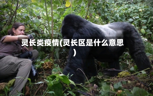 灵长类疫情(灵长区是什么意思)-第1张图片