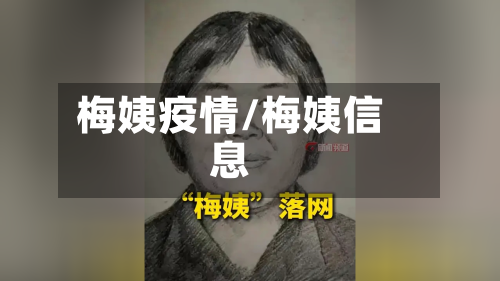 梅姨疫情/梅姨信息-第1张图片