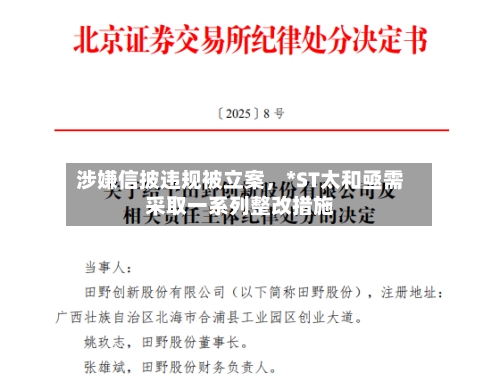 涉嫌信披违规被立案	，*ST太和亟需采取一系列整改措施-第2张图片