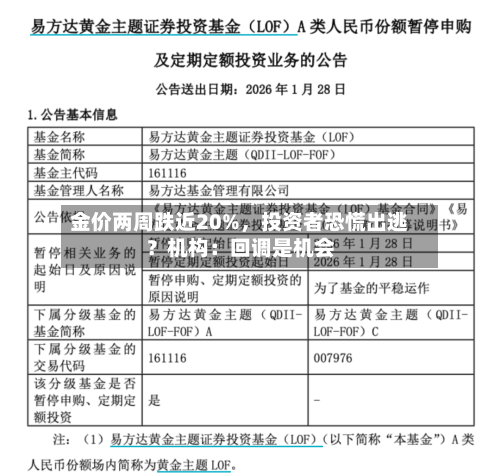 金价两周跌近20%，投资者恐慌出逃？机构：回调是机会-第2张图片