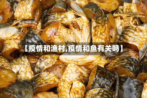 【疫情和渔村,疫情和鱼有关吗】-第1张图片