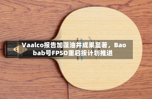 Vaalco报告加蓬油井成果显著	，Baobab号FPSO重启按计划推进-第1张图片