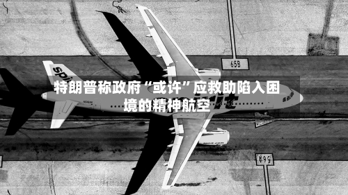 特朗普称政府“或许”应救助陷入困境的精神航空-第2张图片