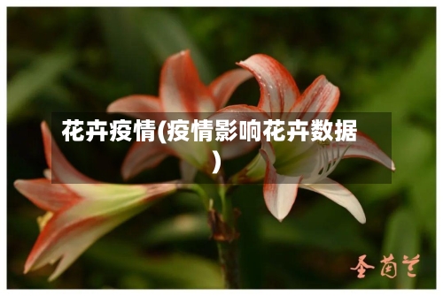 花卉疫情(疫情影响花卉数据)-第1张图片